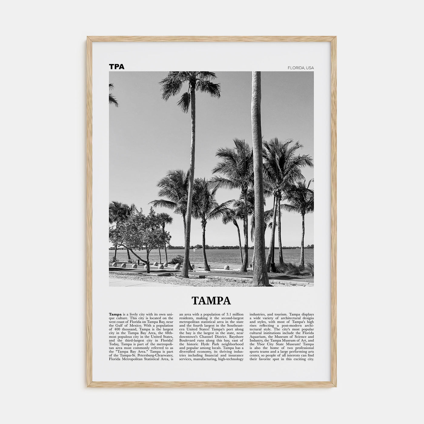 Tampa Travel B&W No 3 Poster