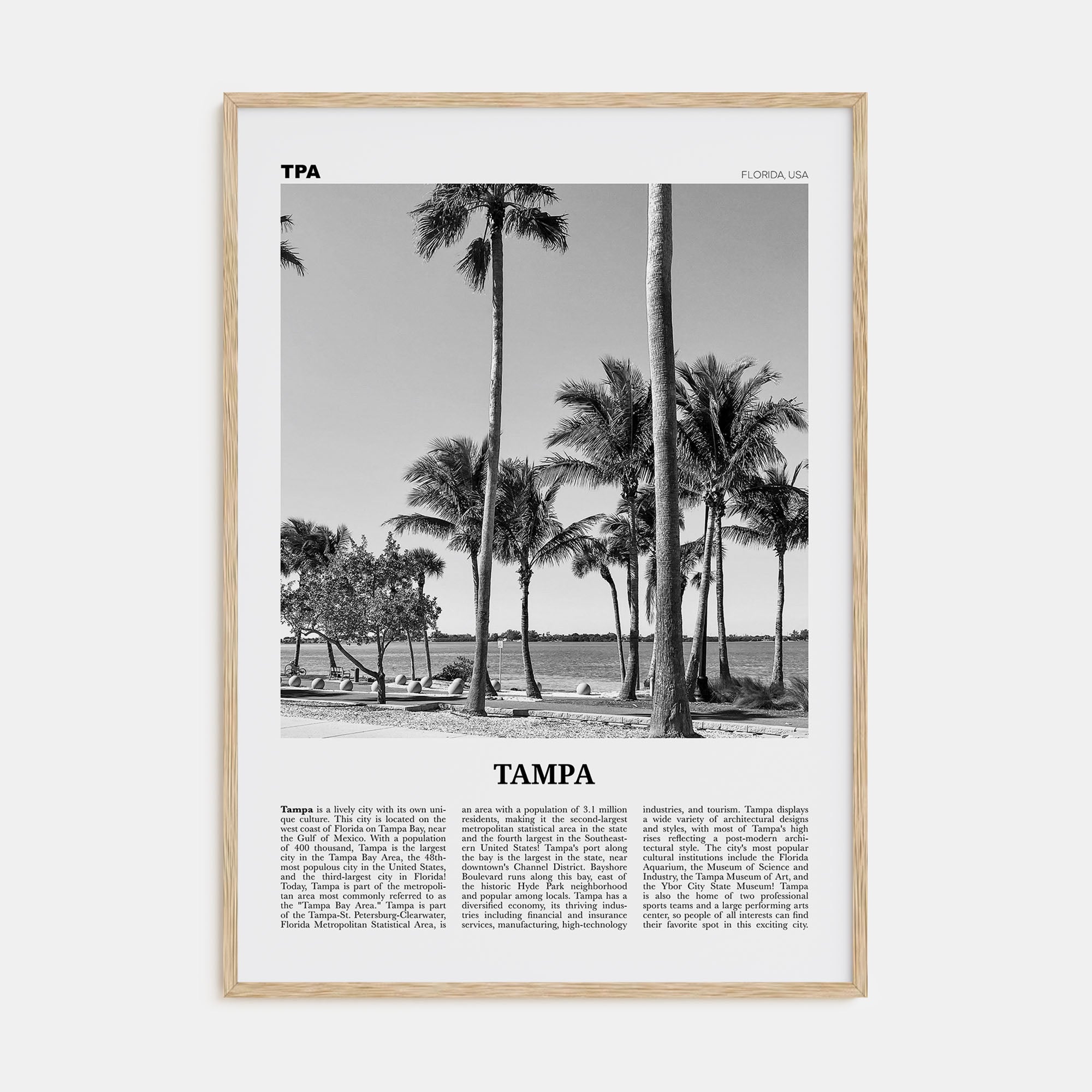 Tampa Travel B&W No 3 Poster