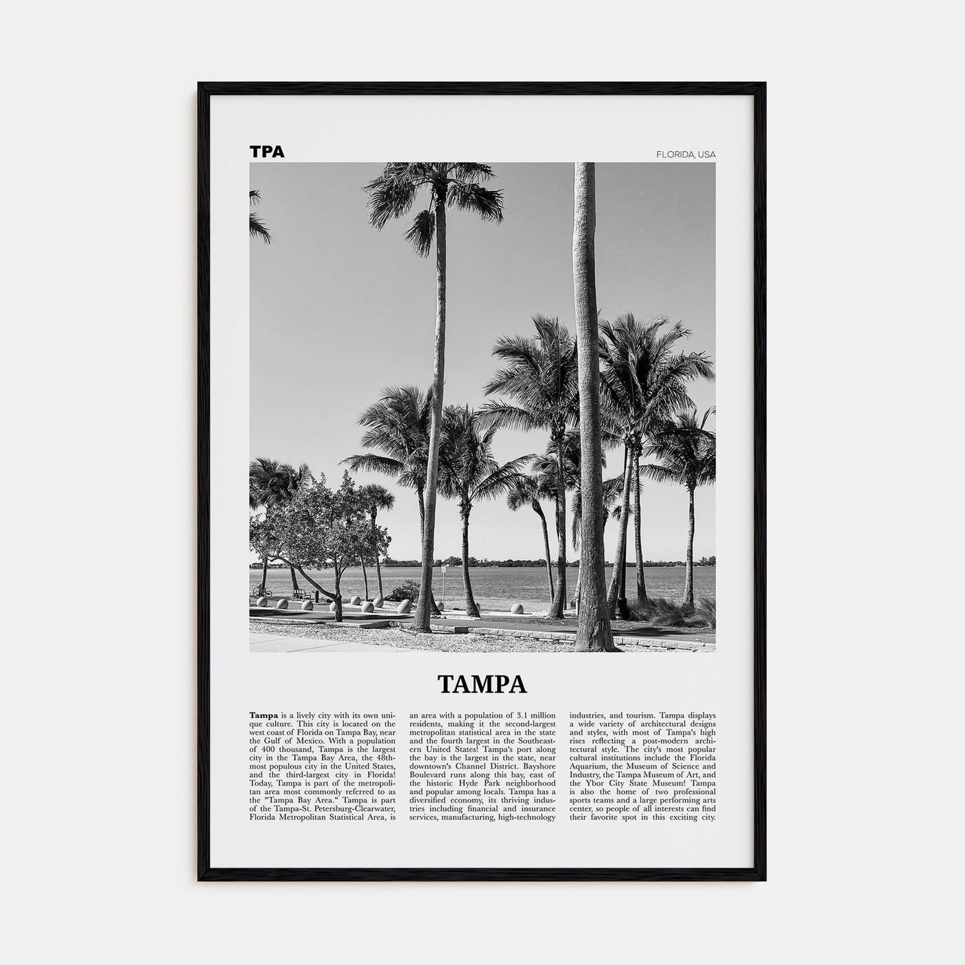 Tampa Travel B&W No 3 Poster
