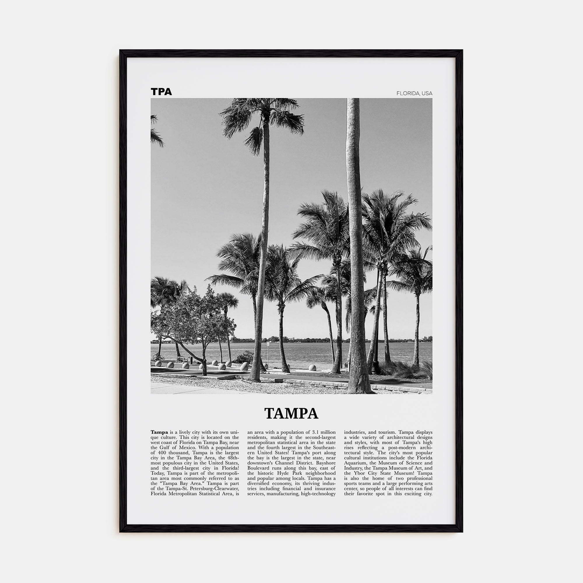 Tampa Travel B&W No 3 Poster