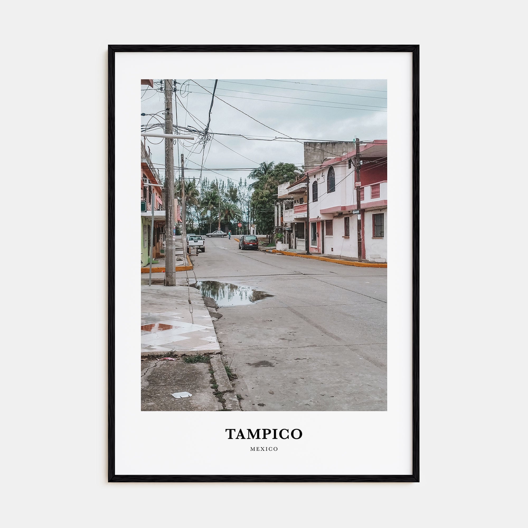 Tampico Portrait Color Poster