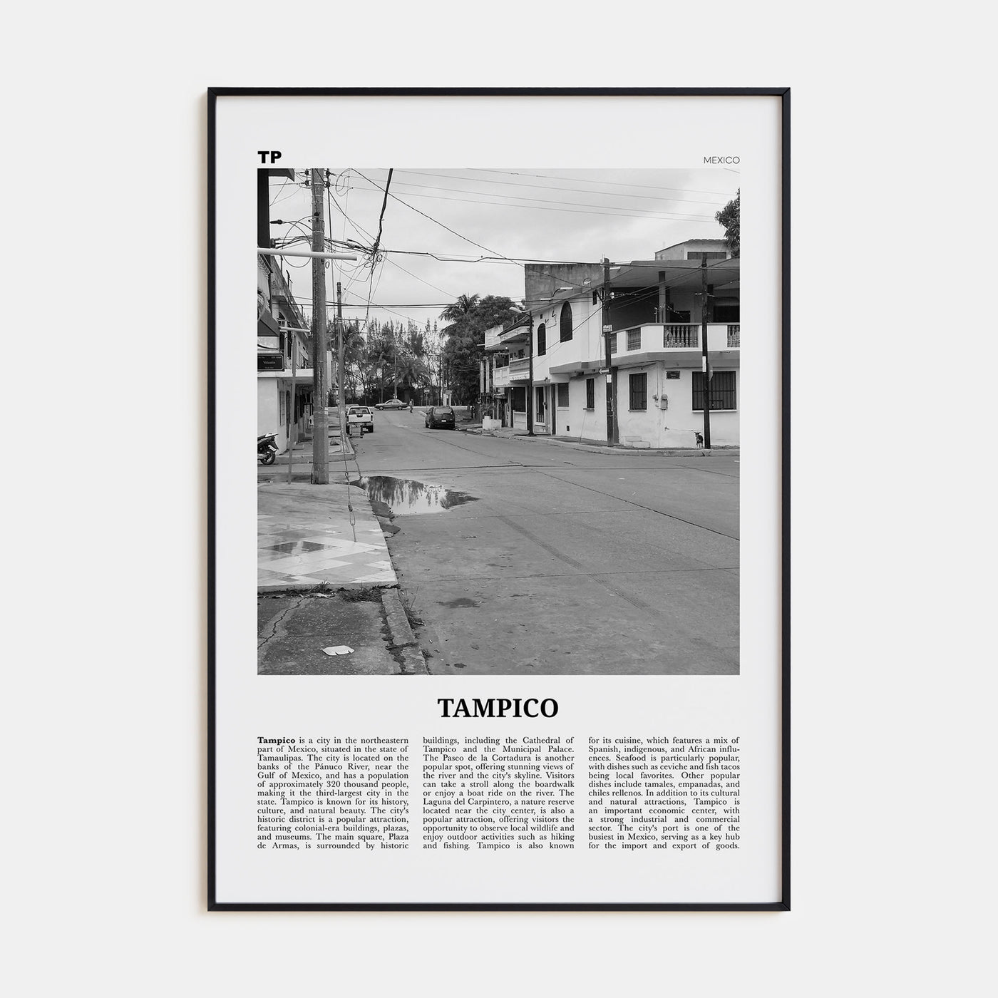 Tampico Travel B&W Poster