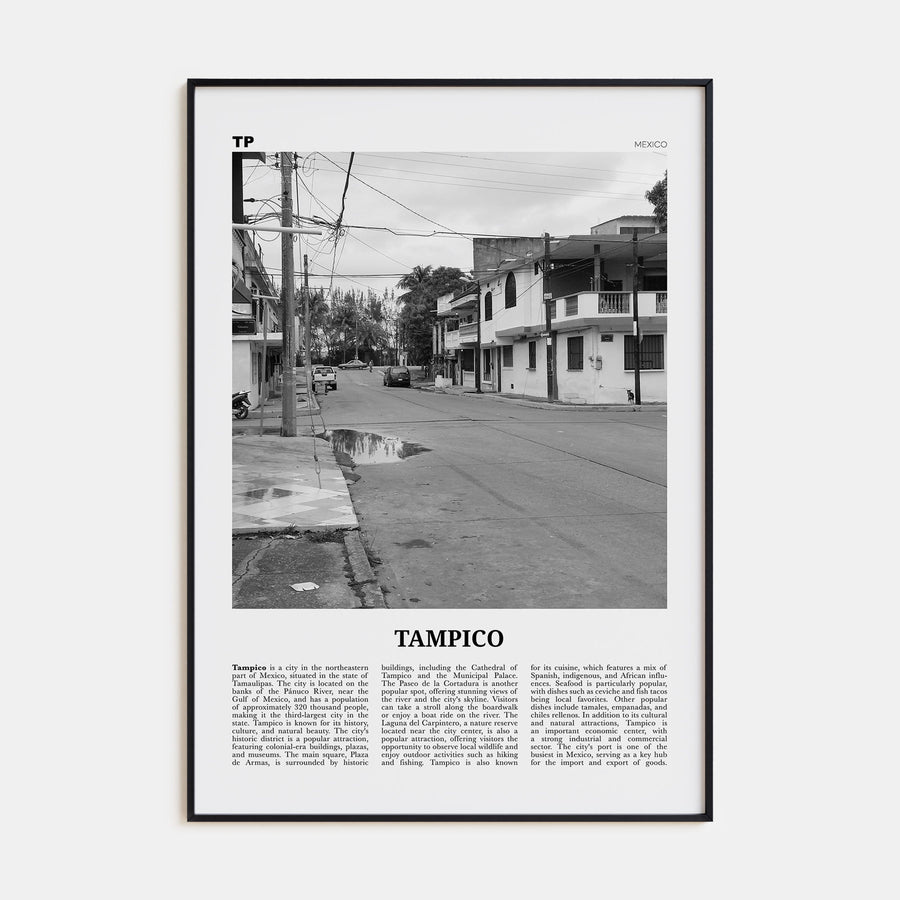Tampico Travel B&W Poster