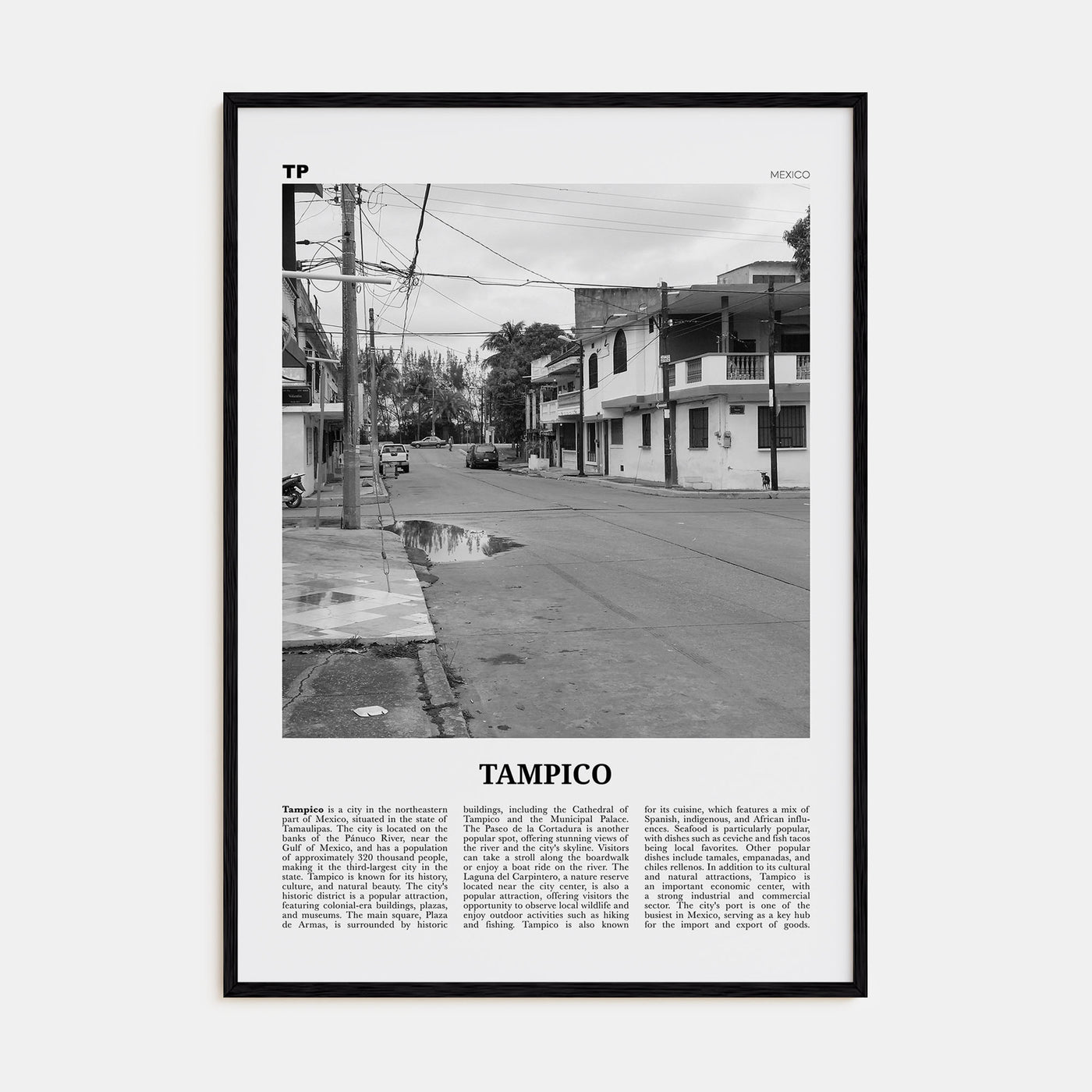 Tampico Travel B&W Poster