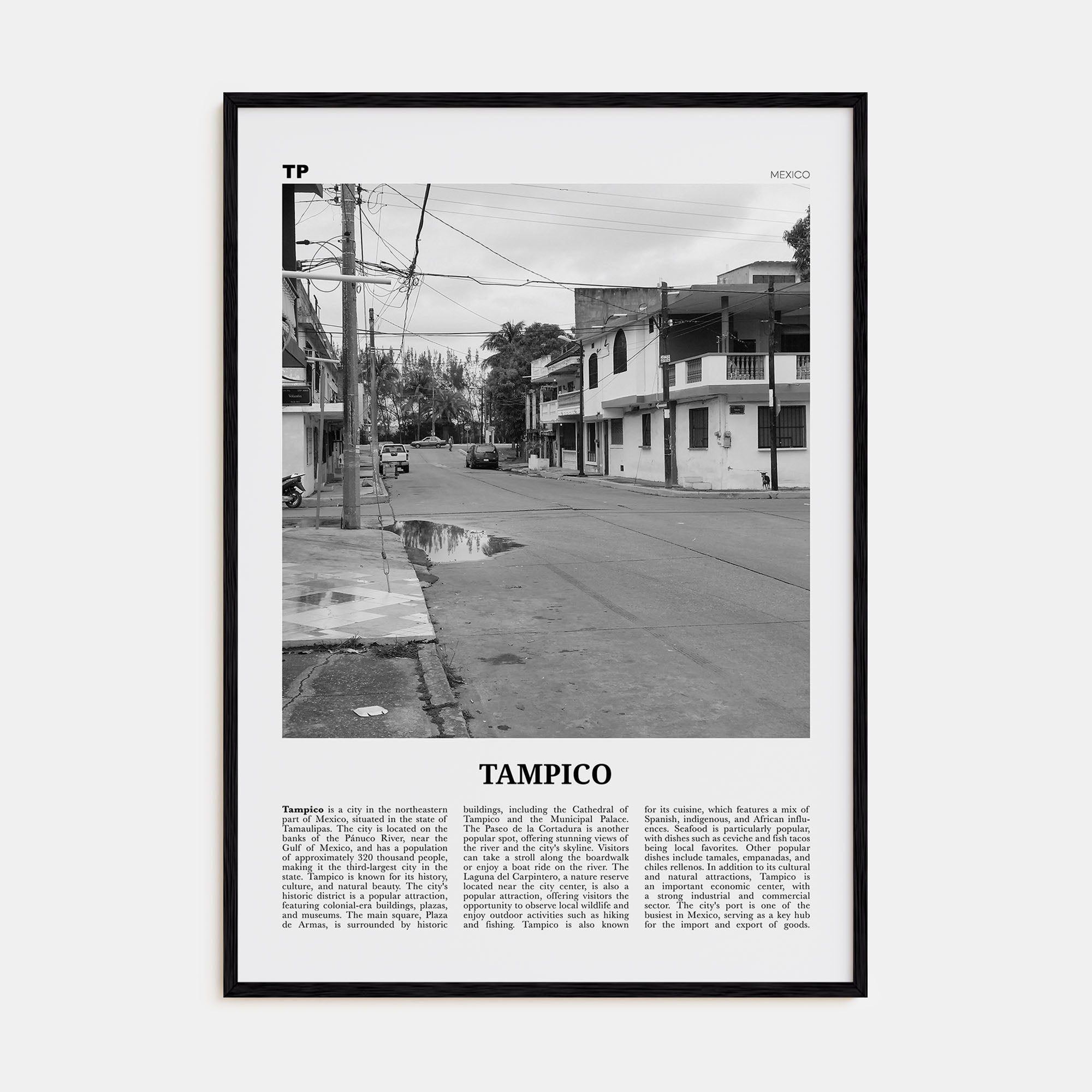 Tampico Travel B&W Poster