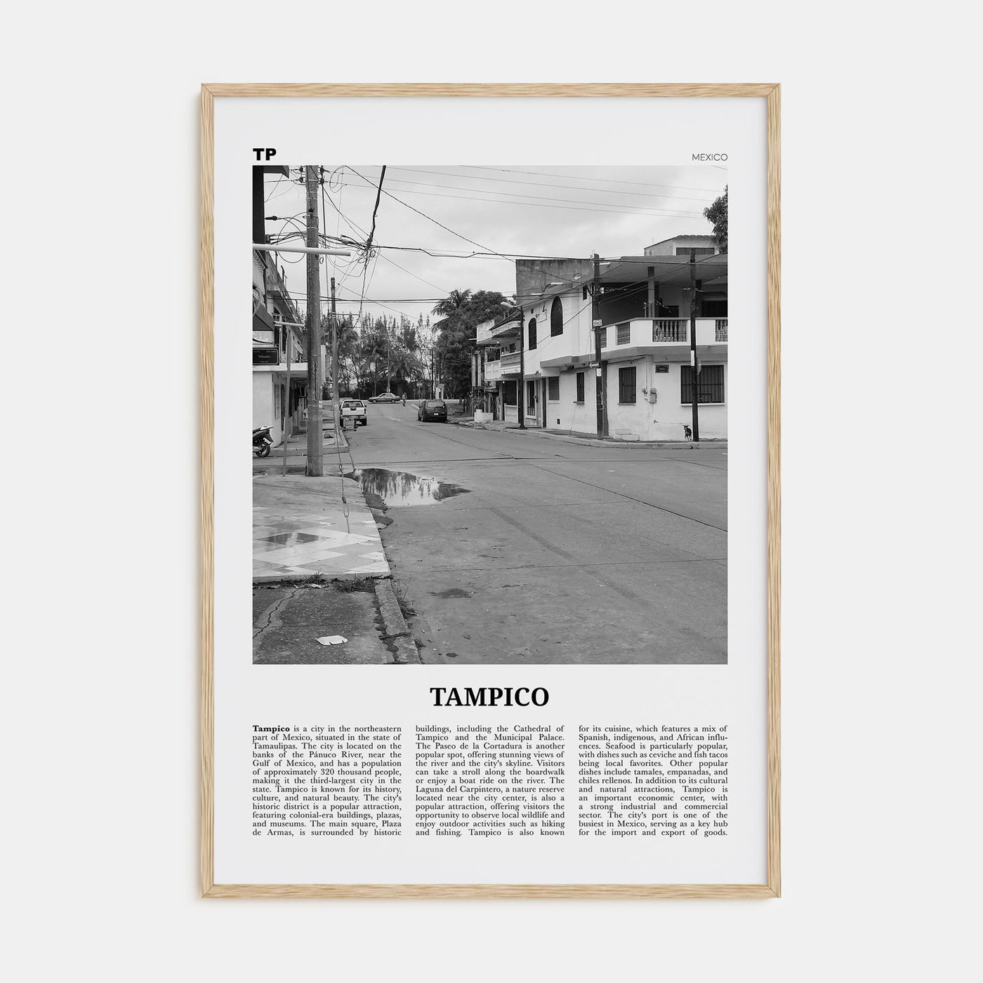 Tampico Travel B&W Poster