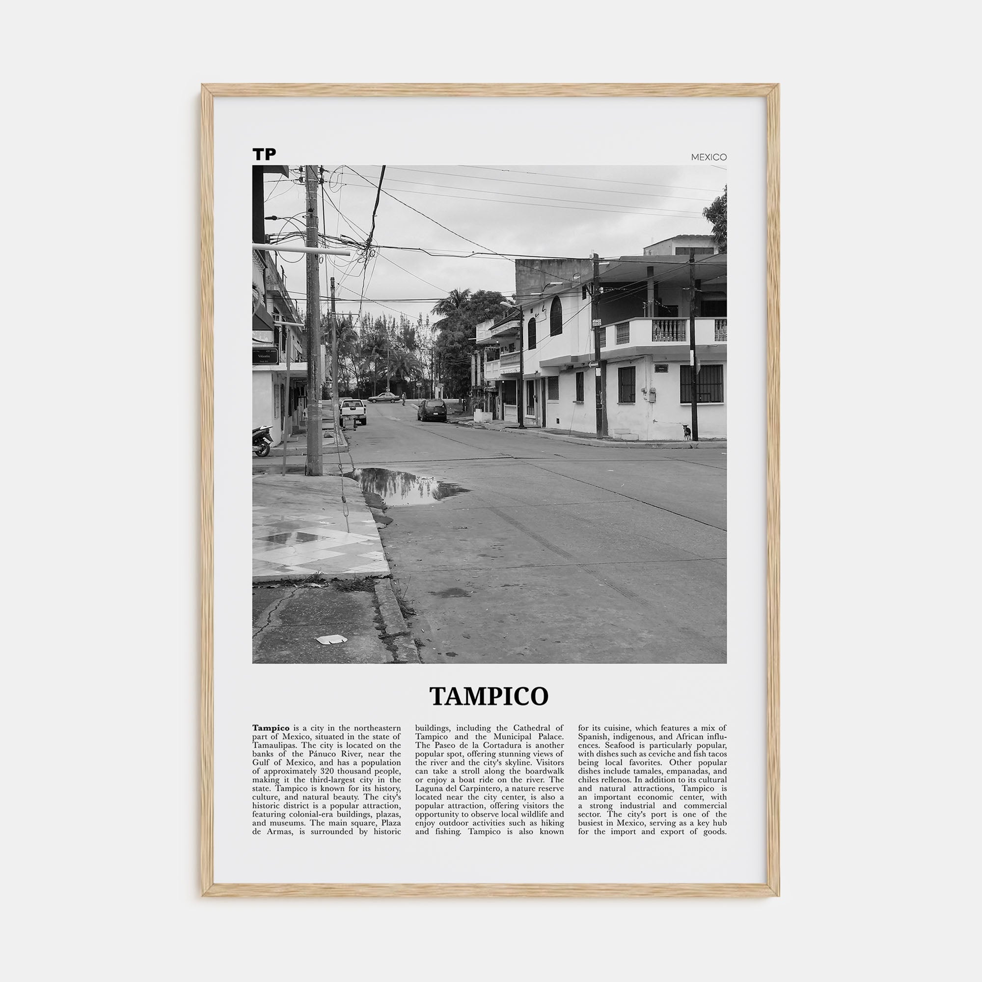 Tampico Travel B&W Poster