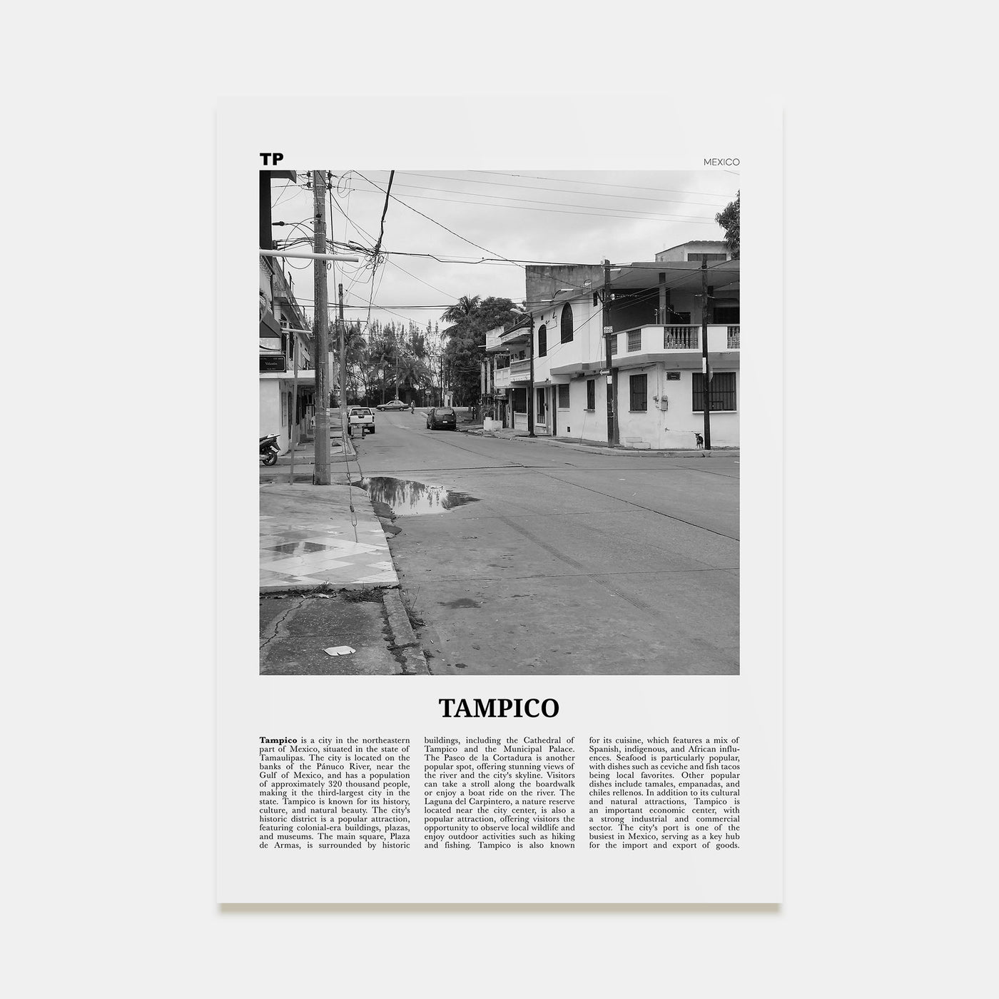 Tampico Travel B&W Poster