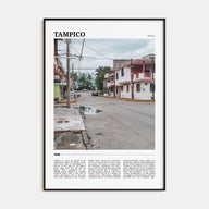 Tampico Travel Color Poster