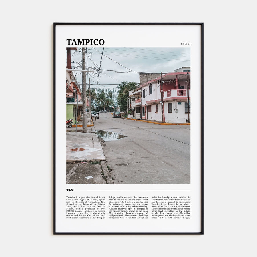 Tampico Travel Color Poster