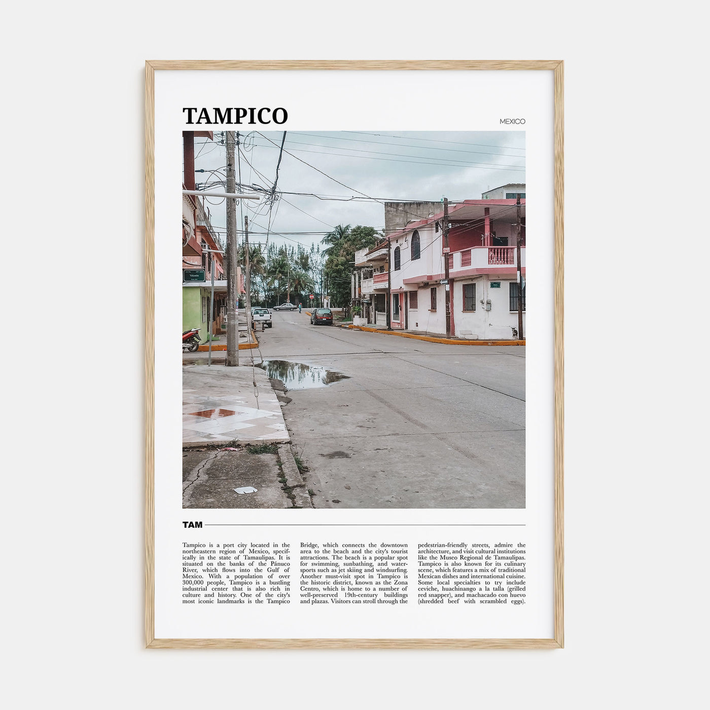 Tampico Travel Color Poster