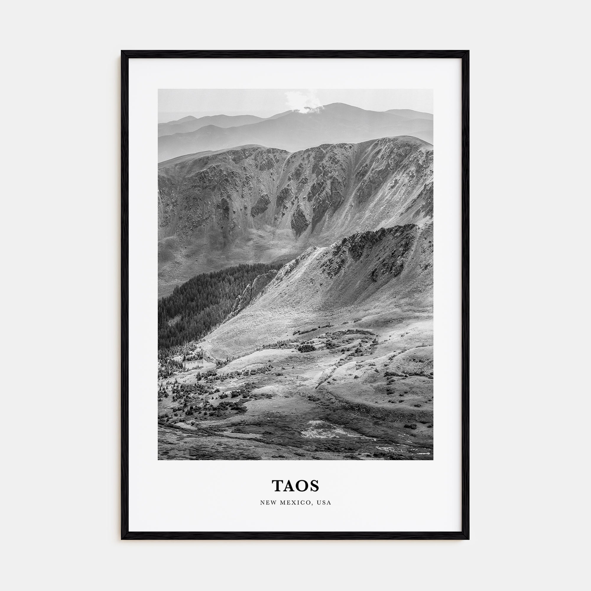 Taos Portrait B&W Poster