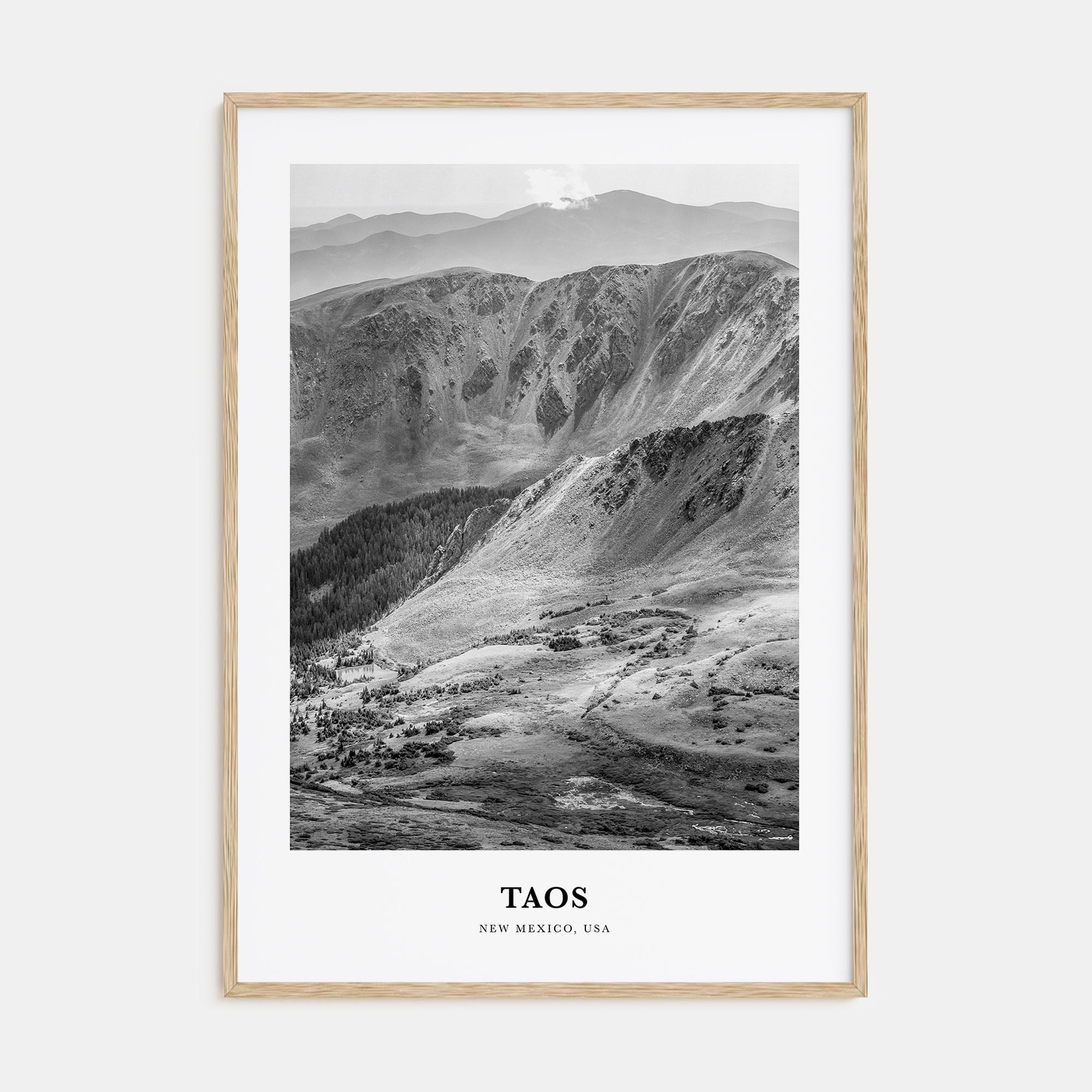 Taos Portrait B&W Poster