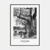 Tarangire National Park Portrait B&W Poster