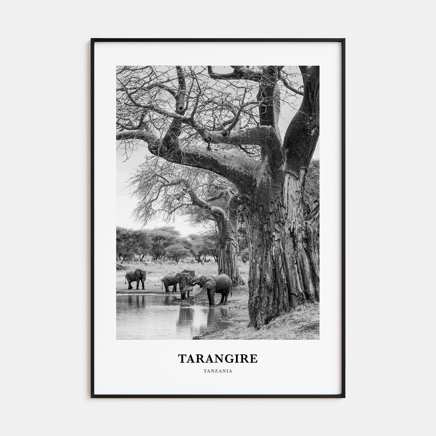 Tarangire National Park Portrait B&W Poster