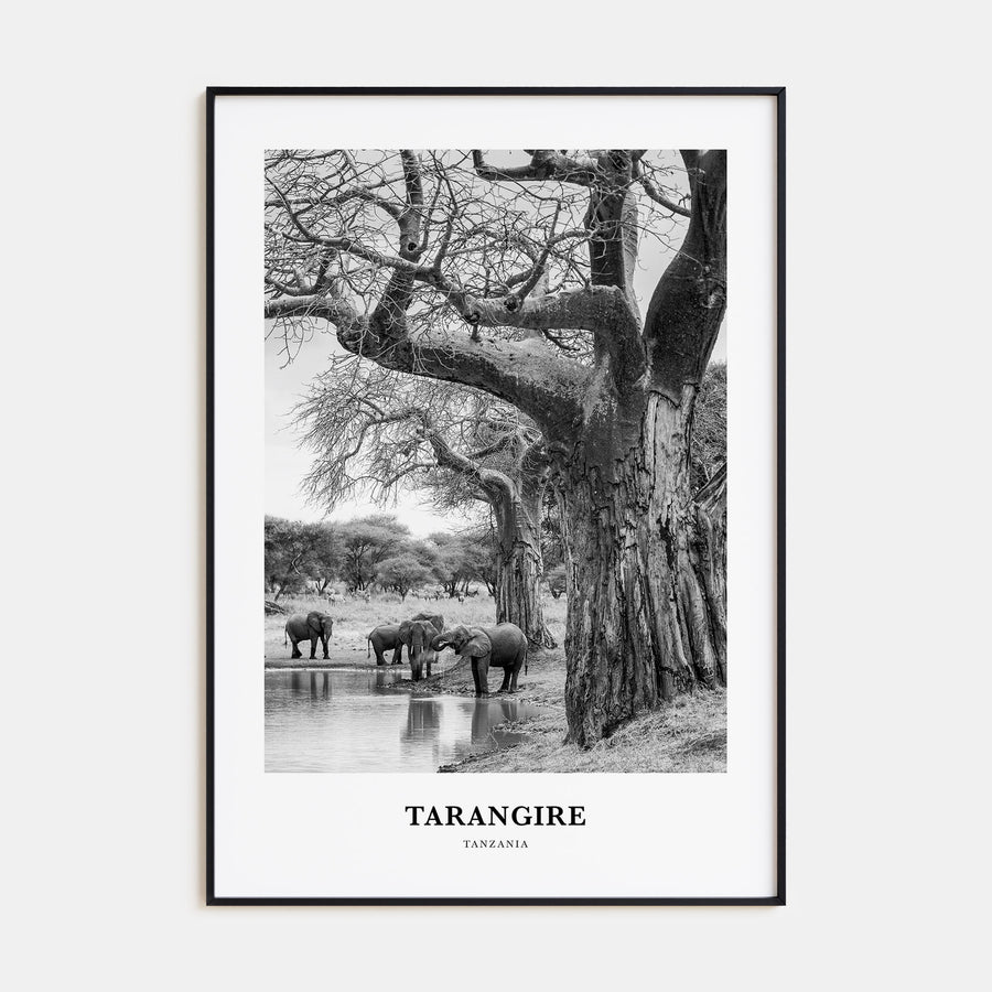 Tarangire National Park Portrait B&W Poster