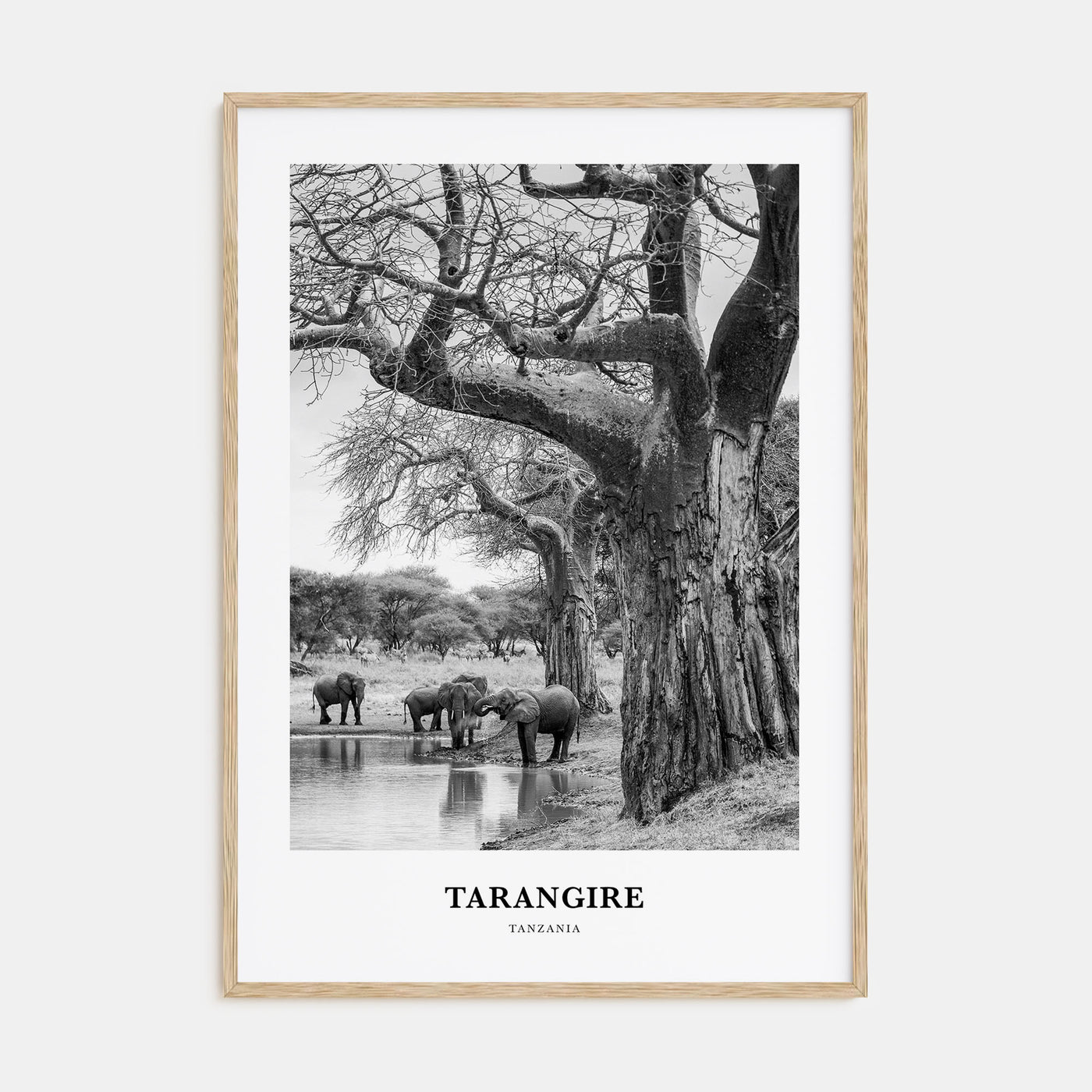 Tarangire National Park Portrait B&W Poster