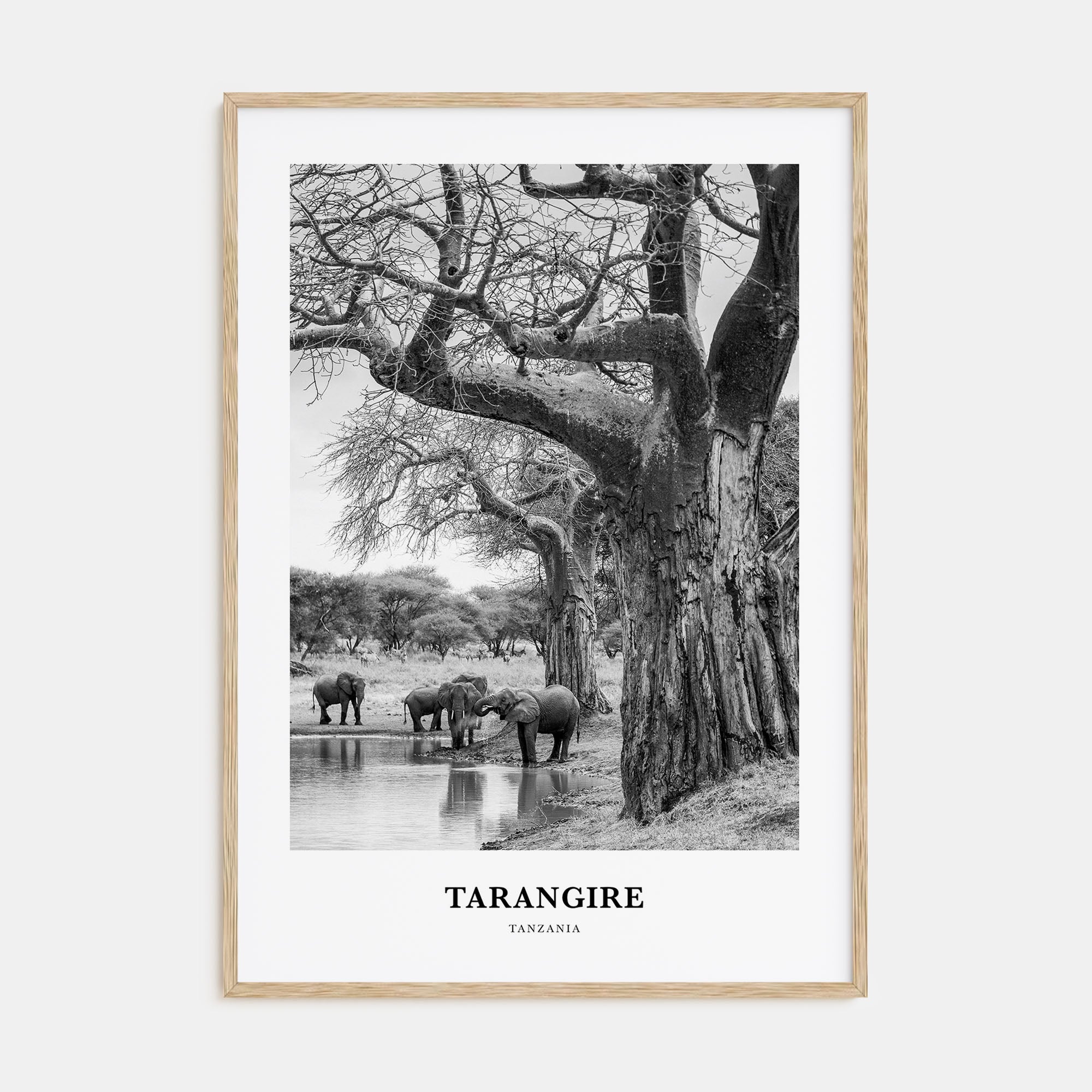 Tarangire National Park Portrait B&W Poster