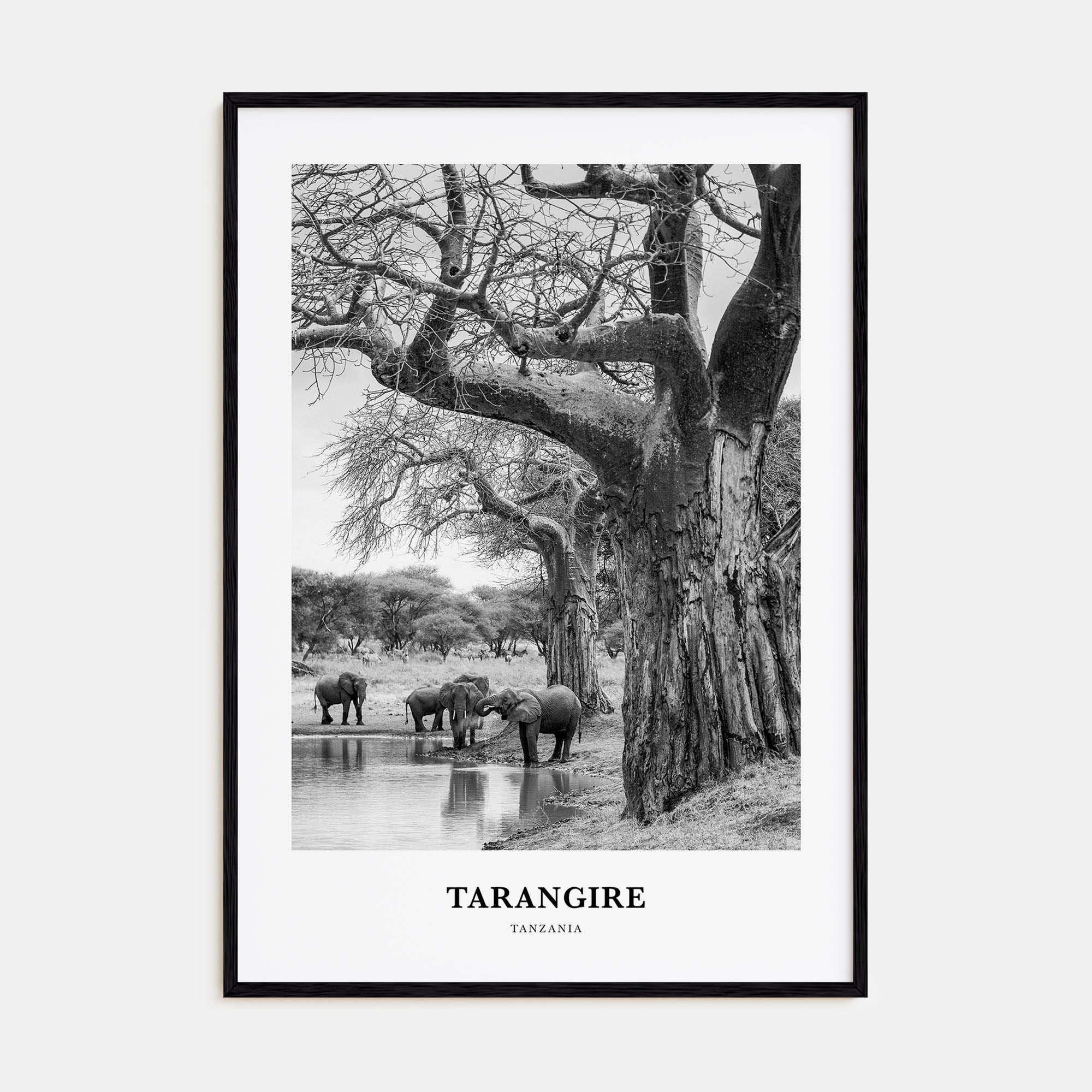 Tarangire National Park Portrait B&W Poster