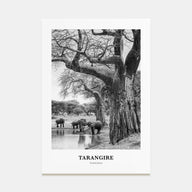 Tarangire National Park Portrait B&W Poster