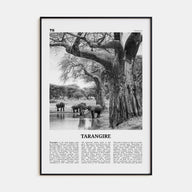 Tarangire National Park Travel B&W Poster