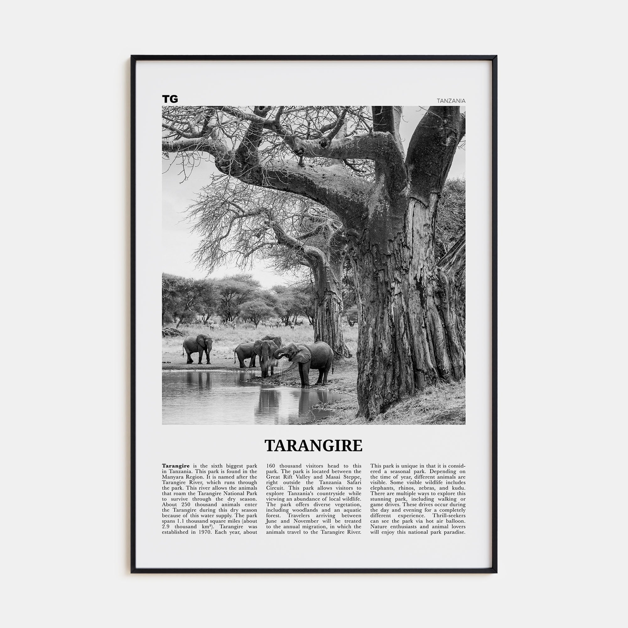 Tarangire National Park Travel B&W Poster