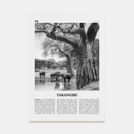 Tarangire National Park Travel B&W Poster