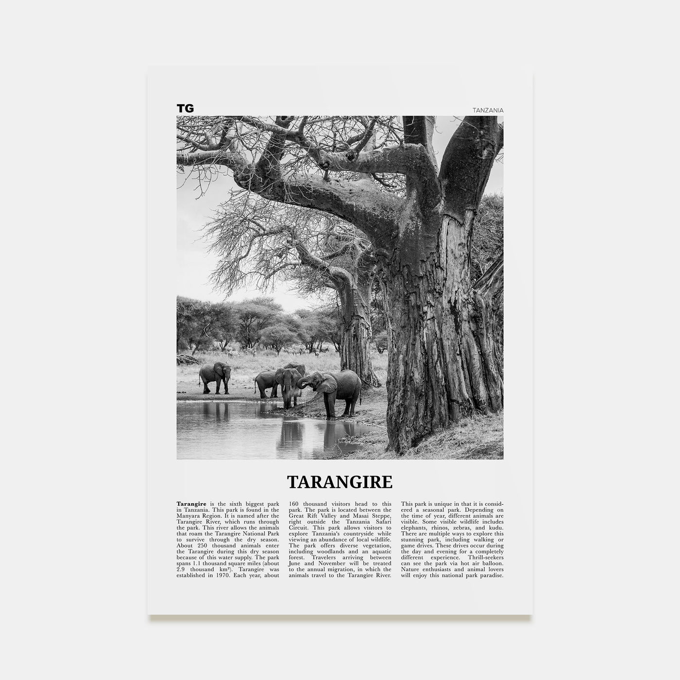 Tarangire National Park Travel B&W Poster