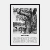 Tarangire National Park Travel B&W Poster