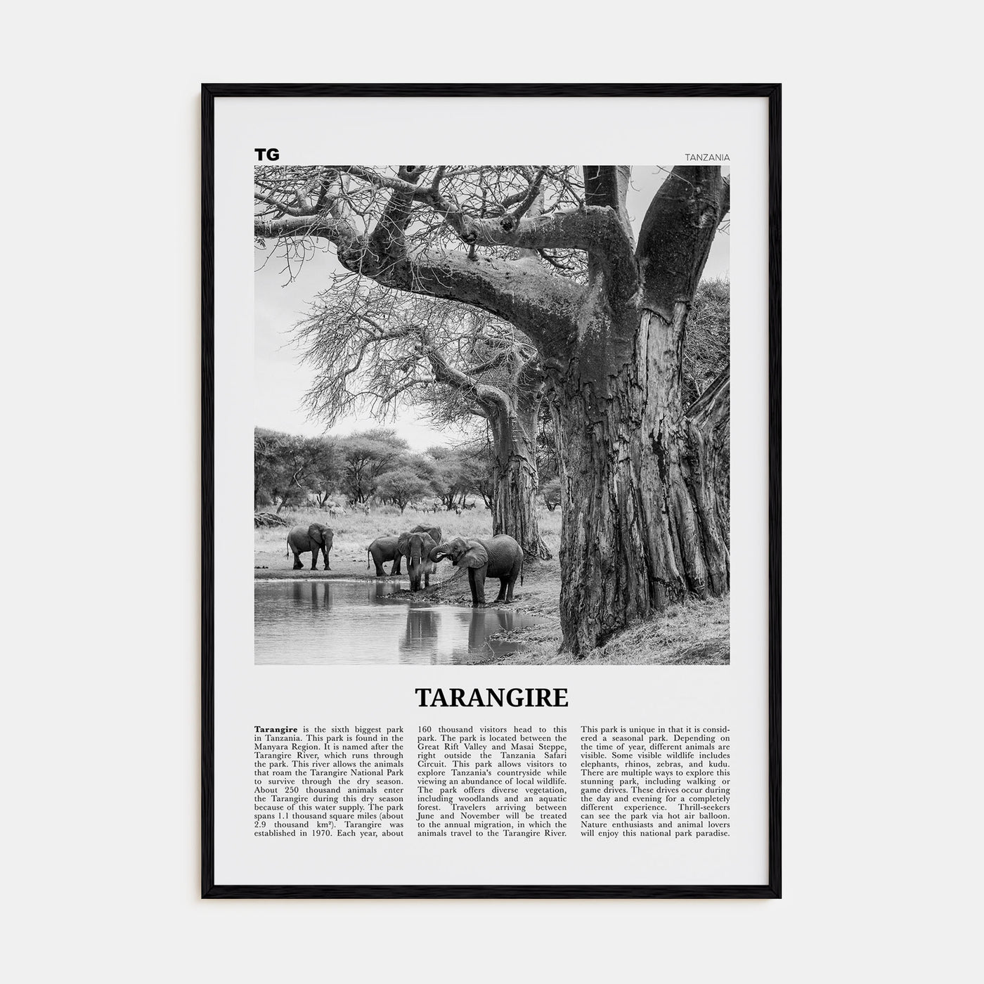 Tarangire National Park Travel B&W Poster