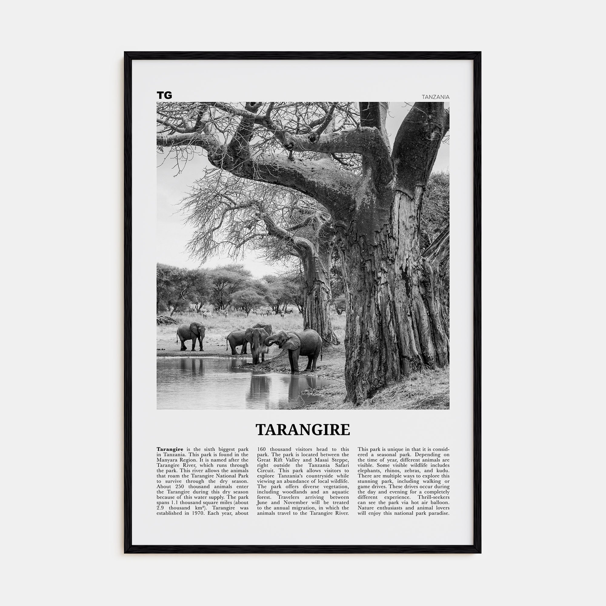 Tarangire National Park Travel B&W Poster