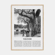 Tarangire National Park Travel B&W Poster