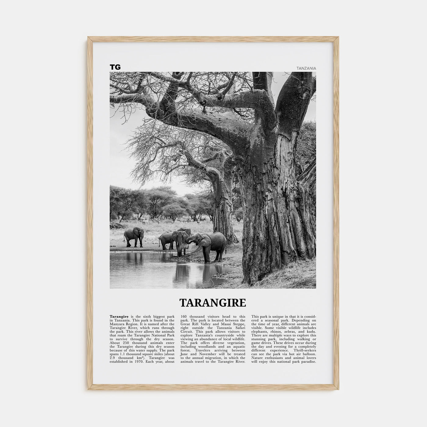 Tarangire National Park Travel B&W Poster