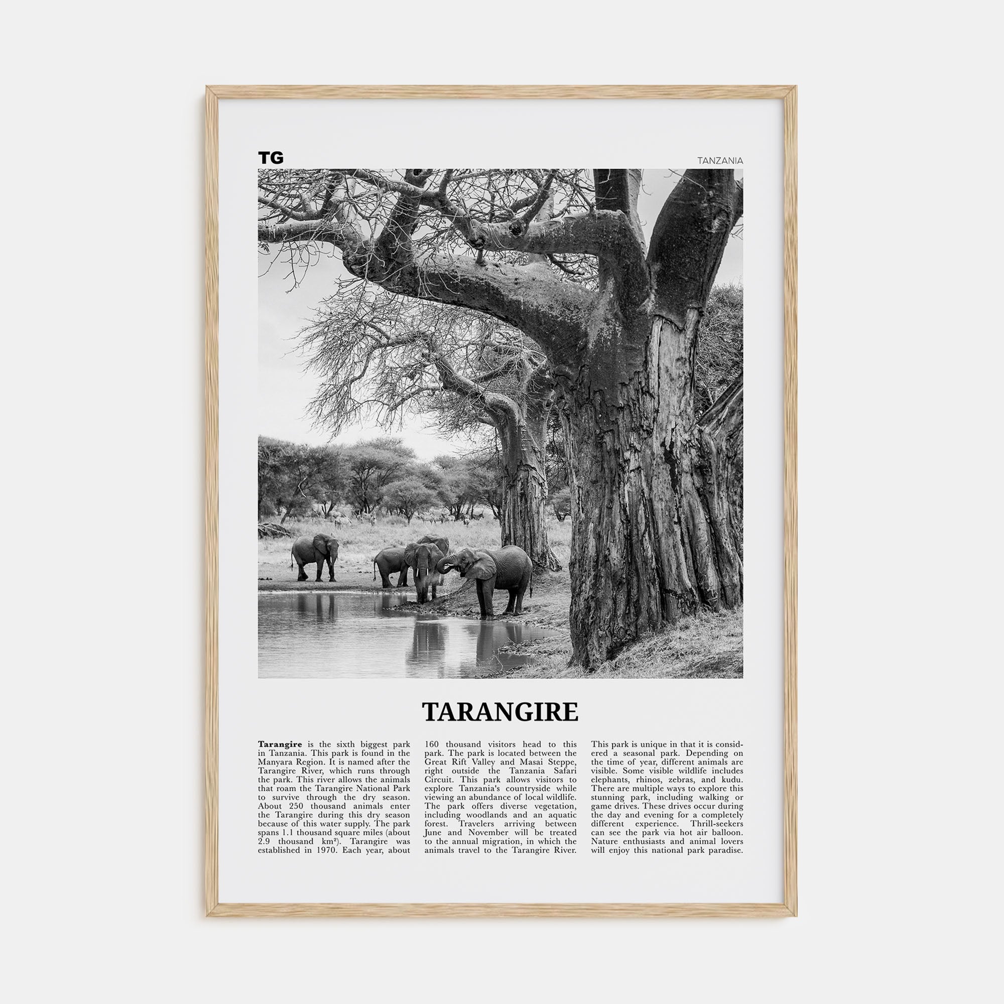 Tarangire National Park Travel B&W Poster