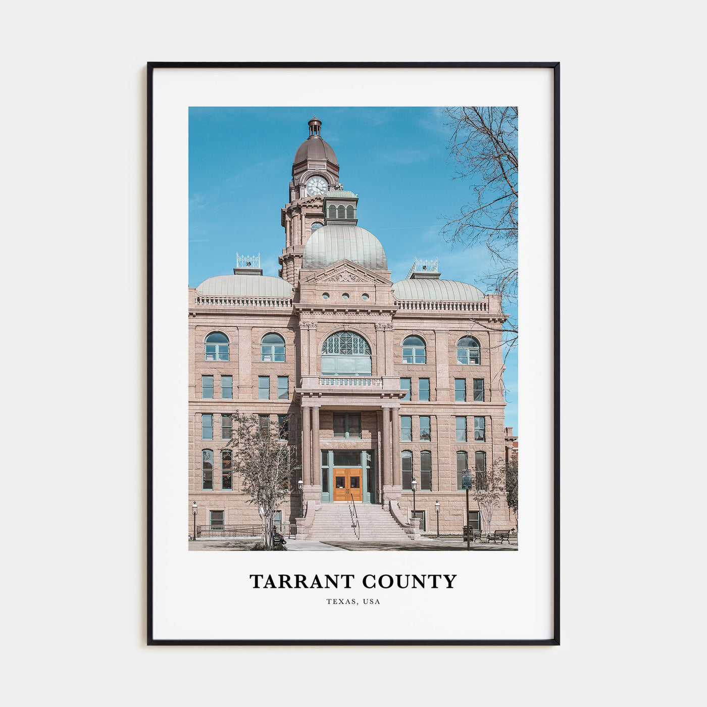 Tarrant County Portrait Color Poster