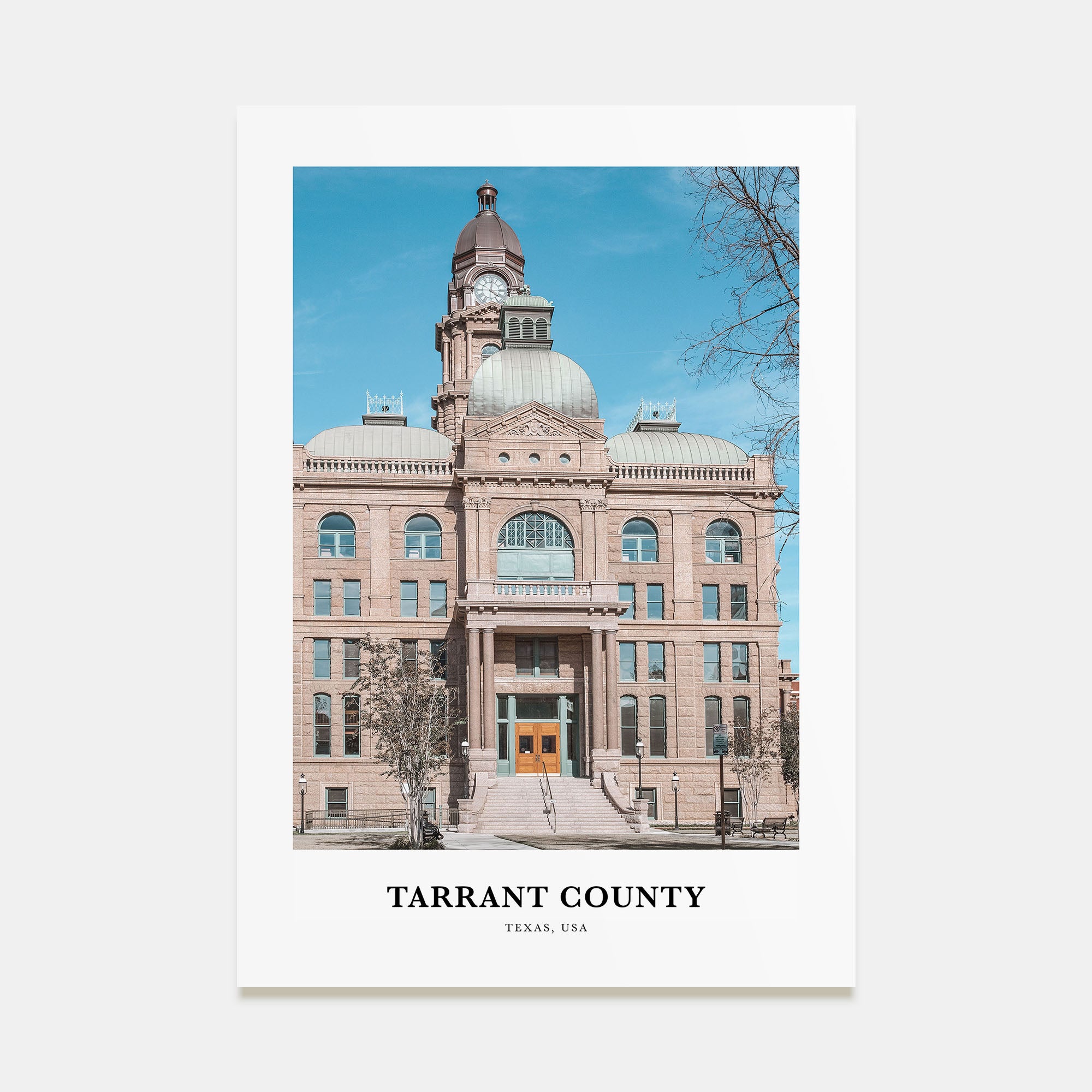 Tarrant County Portrait Color Poster