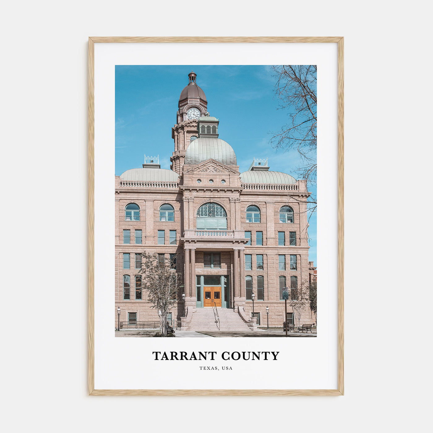 Tarrant County Portrait Color Poster