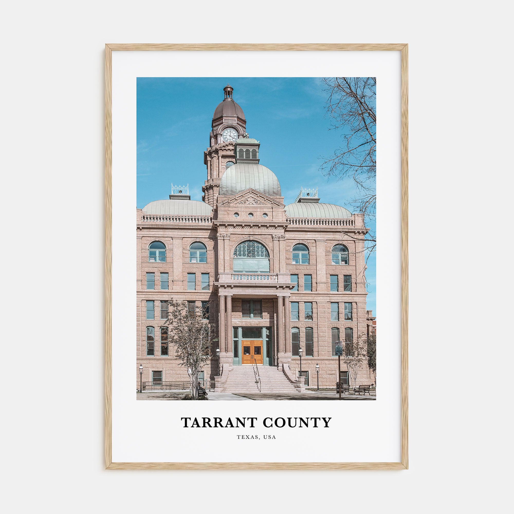 Tarrant County Portrait Color Poster