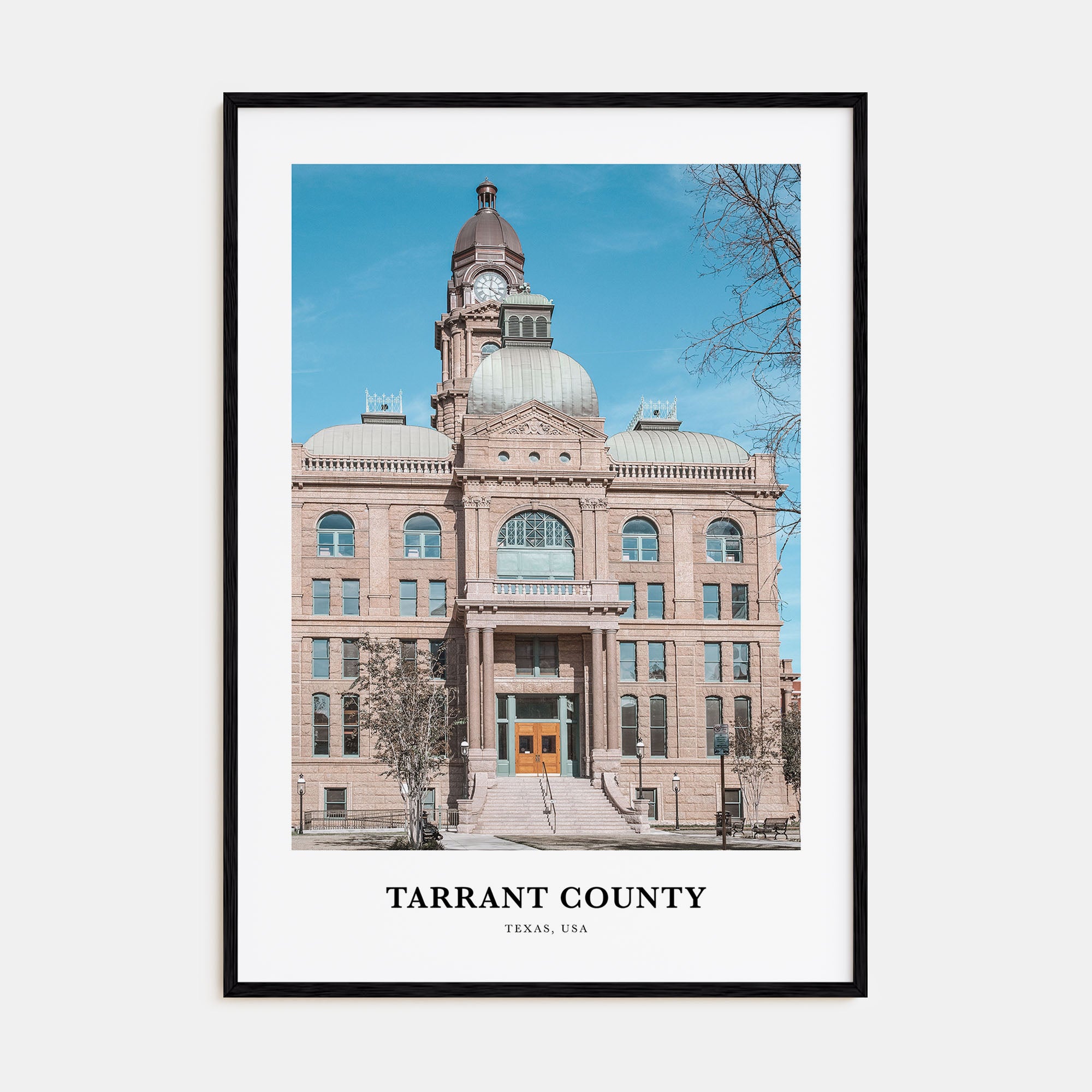 Tarrant County Portrait Color Poster