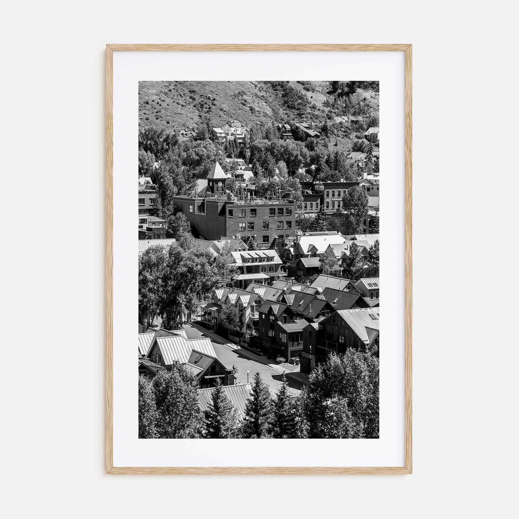 Telluride Photo B&W No 1 Poster