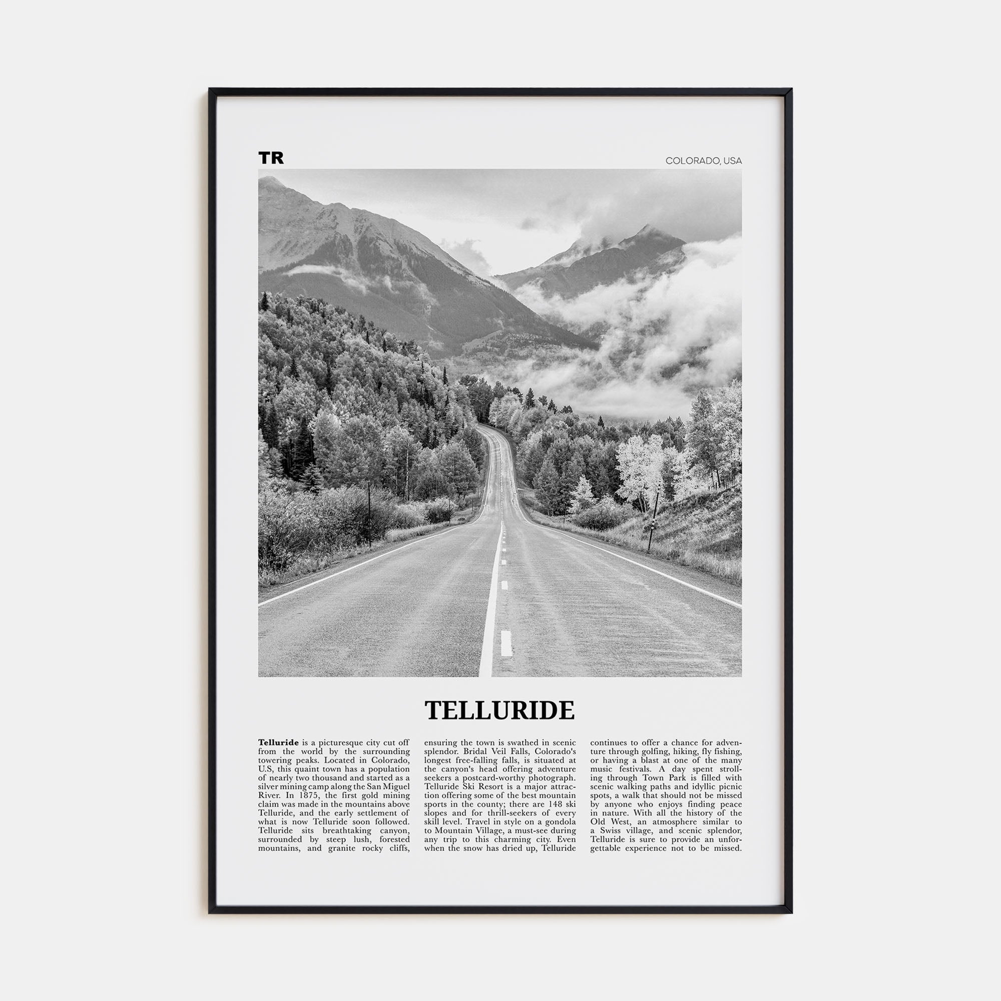 Telluride Travel B&W No 2 Poster