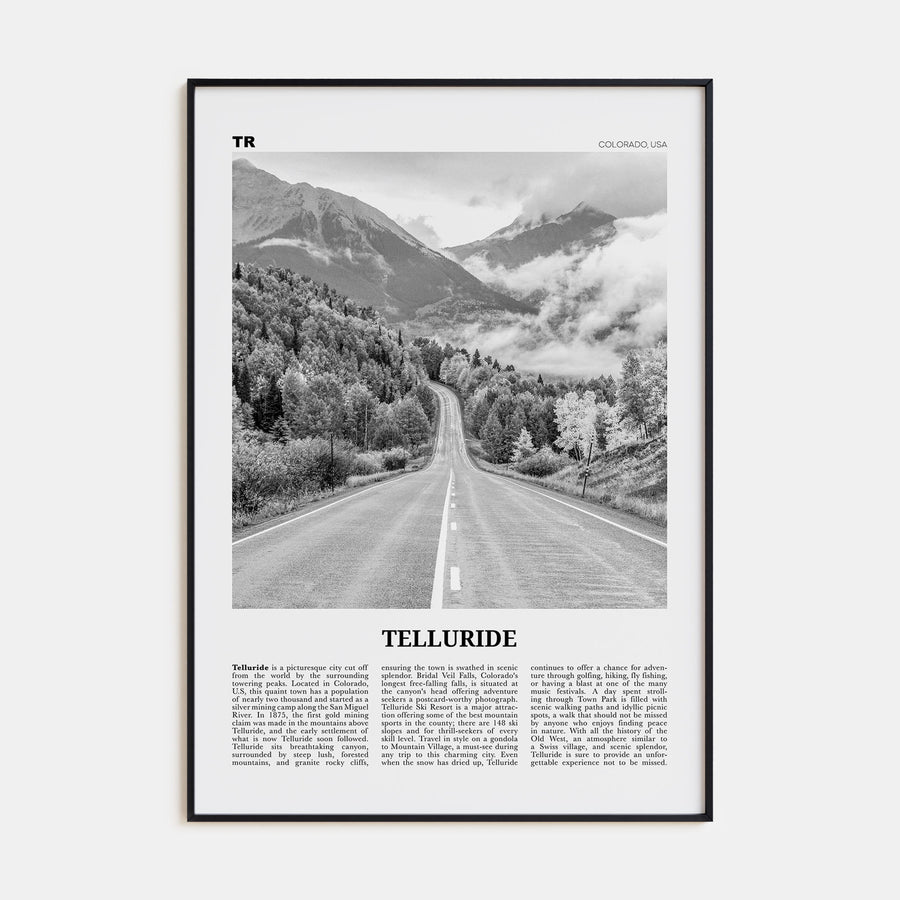 Telluride Travel B&W No 2 Poster
