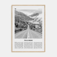 Telluride Travel B&W No 2 Poster