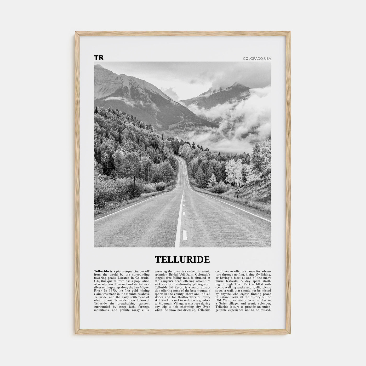 Telluride Travel B&W No 2 Poster
