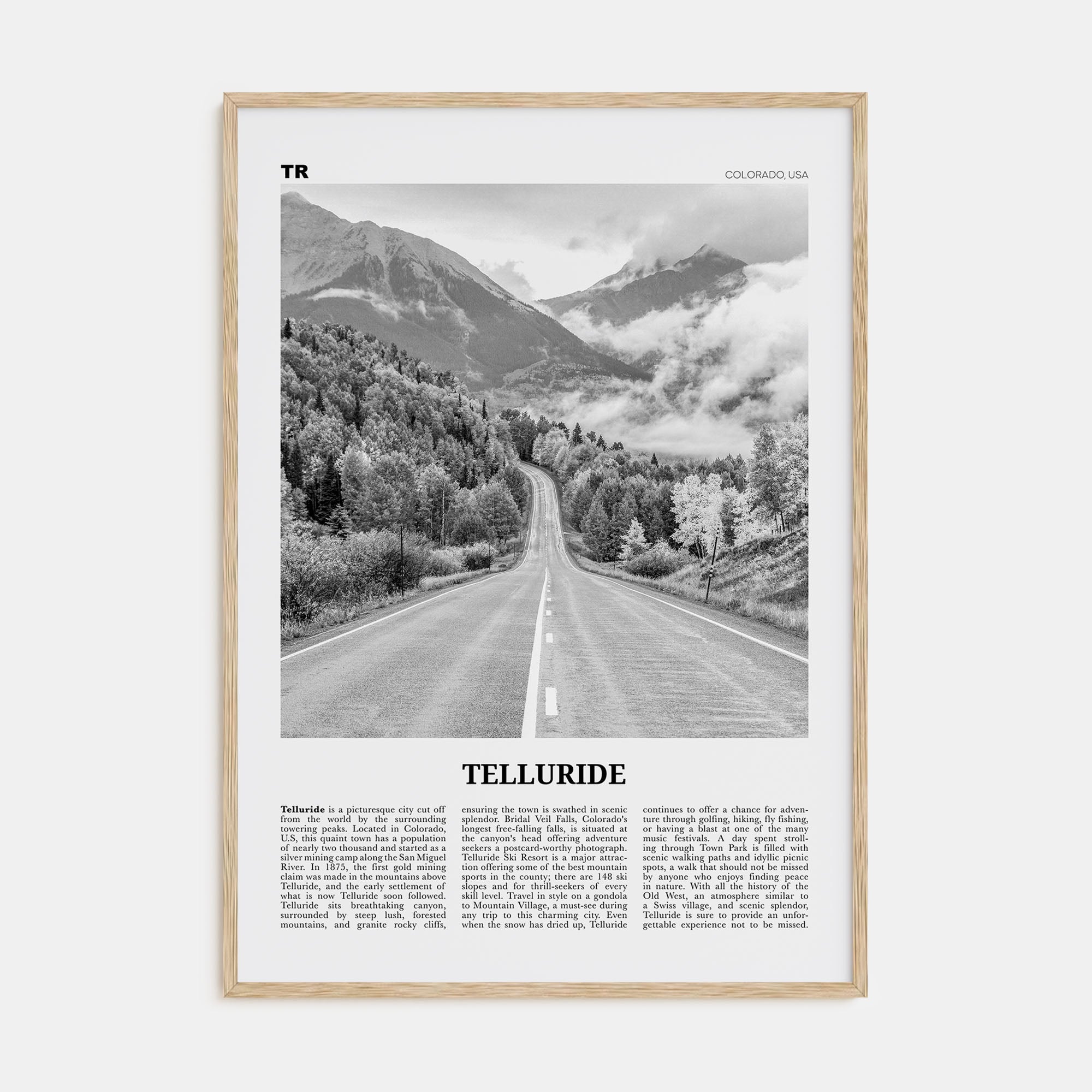 Telluride Travel B&W No 2 Poster