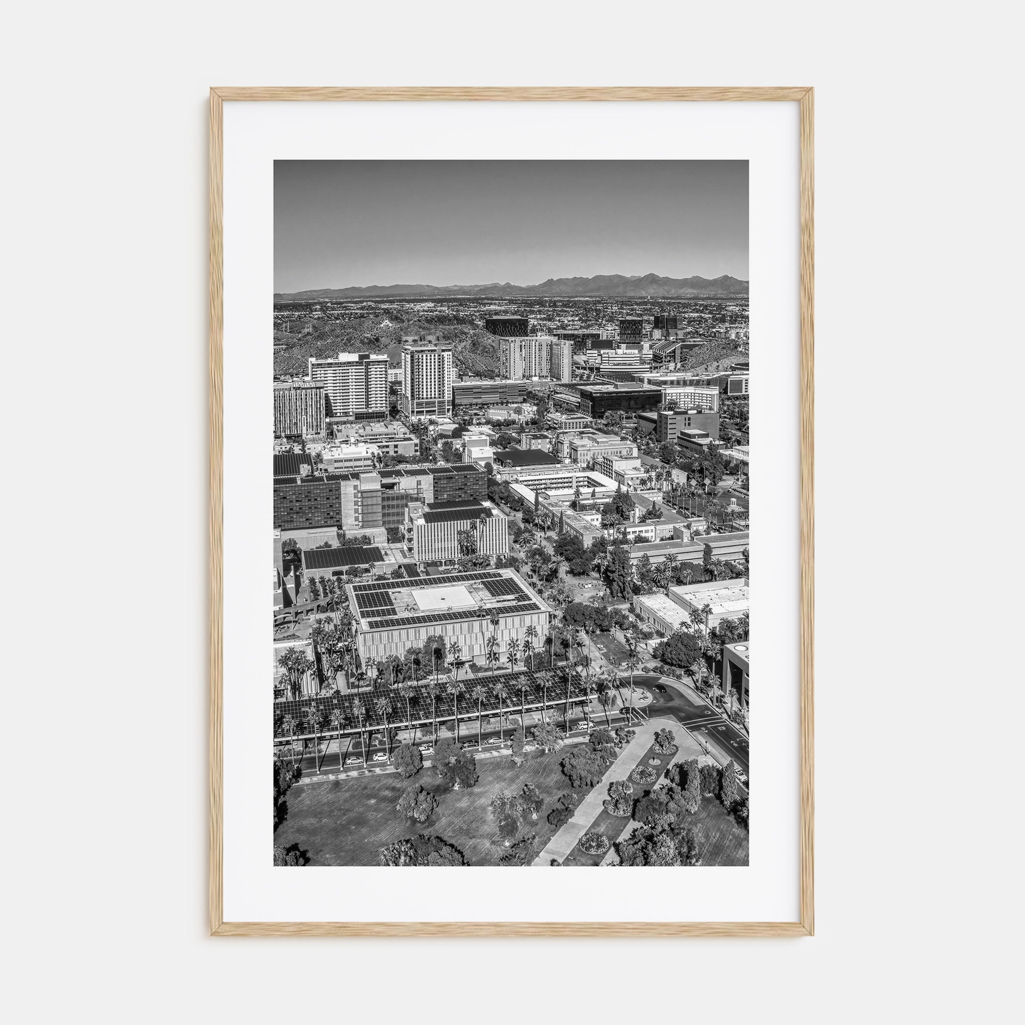 Tempe Photo B&W Poster
