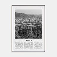 Temuco Travel B&W Poster