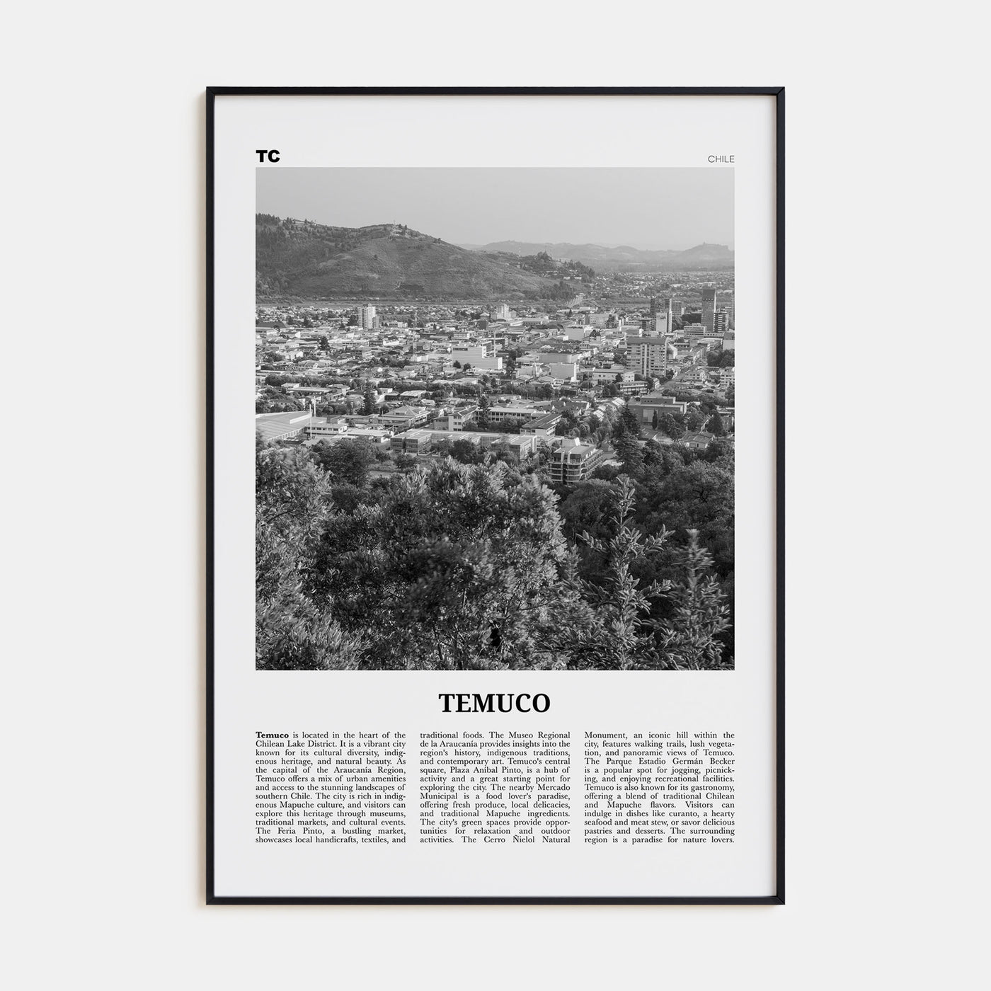 Temuco Travel B&W Poster
