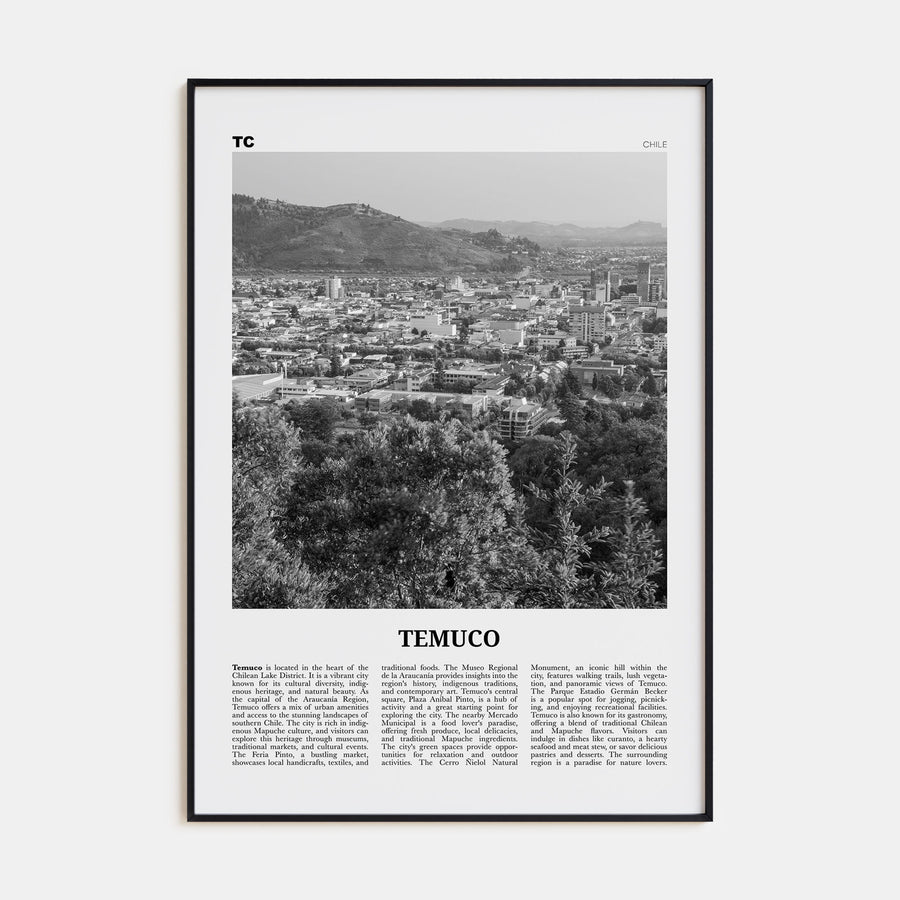 Temuco Travel B&W Poster