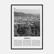 Temuco Travel B&W Poster